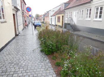 Afkobling af vejvand i Søndergade, Middelfart, foto 10