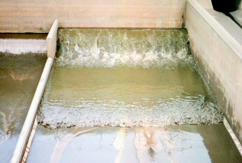 Kystagerparken forside