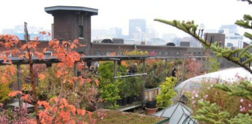 Grønne livsmiljøer forside