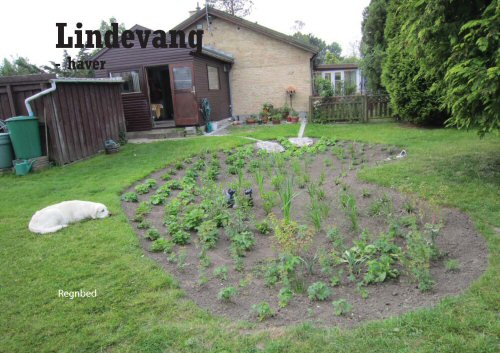 Lindevang, Brøndby 4, forside