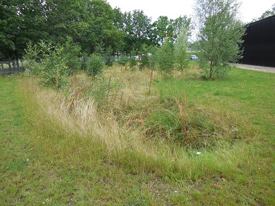 Gentofte Sportspark forside