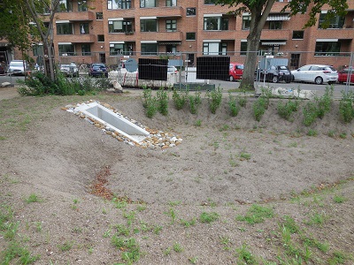 Lindevangsparken, Frederiksberg foto 3