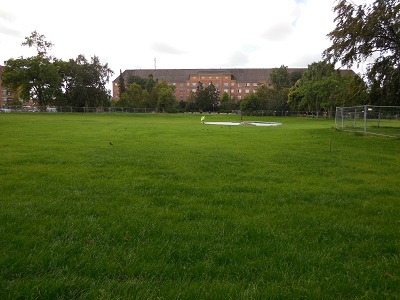 Lindevangsparken, Frederiksberg foto 5