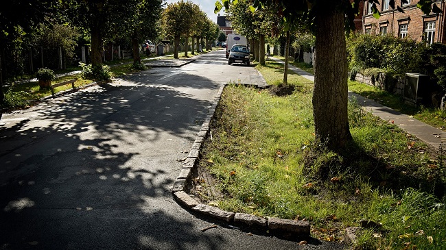 Kongedybs Alle forside