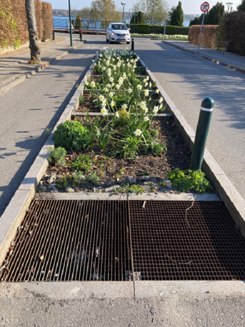 Allekvarteret Middelfart, forside