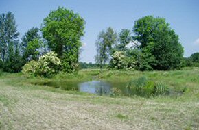 Egelundsparken Foto 1