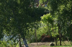 Allinge Foto 6