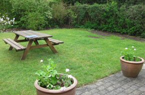 Hedevnget_Foto 1
