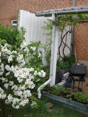 Hedevnget_Foto 2