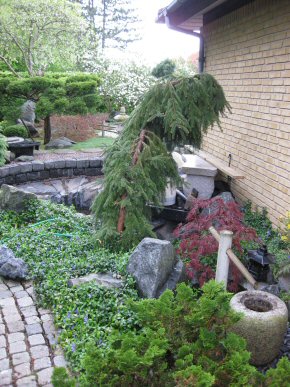 Hedevnget_Foto 5
