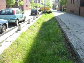 Trug 1 NY