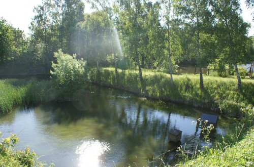 Allinge forside