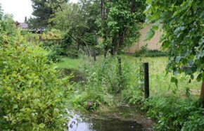 Allerd Kommune_foto 1