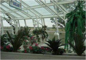 Lalandia foto 2