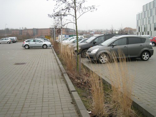 Kolding park forside