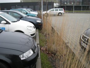 Kolding park foto 1