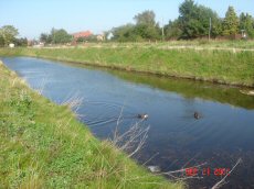 Kanaler, foto 27