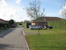 Permeable belgninger, foto 2
