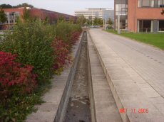 Trug og render, foto 6