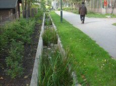 Trug og render, foto 12