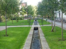 Trug og render, foto 13