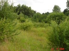 Trre bassiner, foto 4