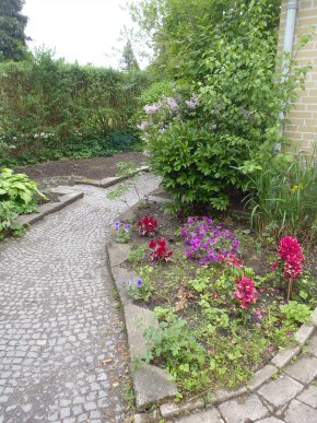 Lindevang, Brndby 8, foto 6