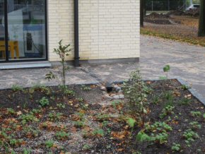 Kulturhus Kilden, foto 10