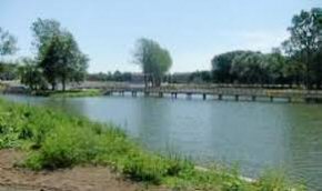 Selmosen, foto 4
