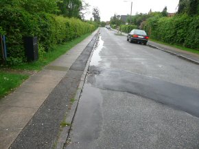 Vejbede p Mllebakken, foto 6