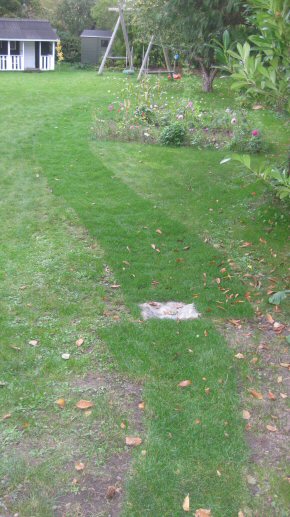 Middelfart, foto 1