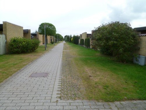 Baunebakken, Forsi