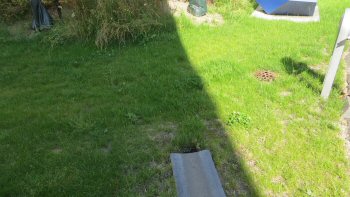 Plejehjem i Gentofte, foto 1