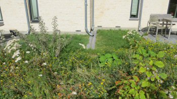 Plejehjem i Gentofte, foto 2