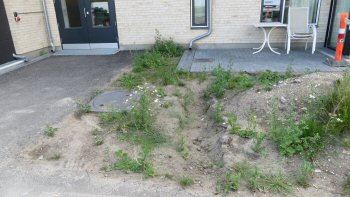 Plejehjem i Gentofte, foto 4