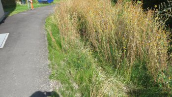 Plejehjem i Gentofte, foto 11