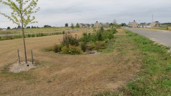 LAR i Dahlsvej-kvarteret Odense, foto 5
