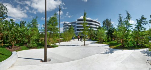 Novo Nordisk, for