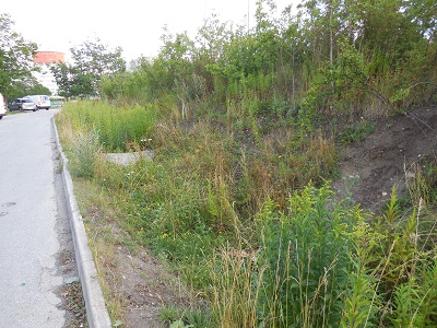 Gentofte sportspark foto 2