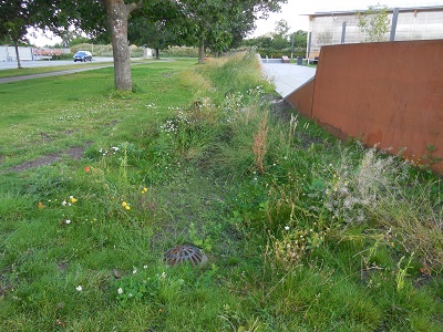 Gentofte sportspark foto 3