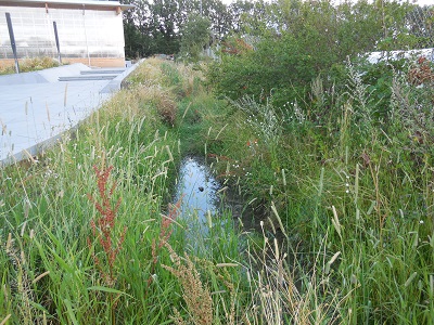 Gentofte sportspark foto 4