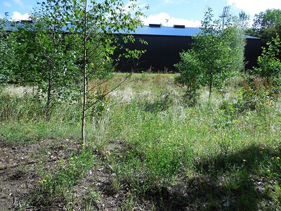 Gentofte sportspark foto 7