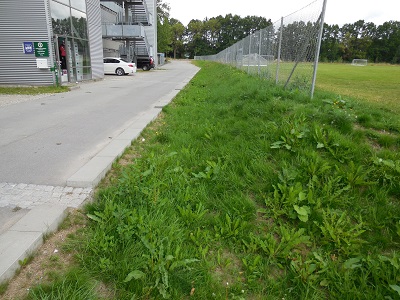 Gladsaxe foto 4