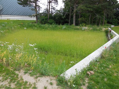 Gladsaxe foto 14