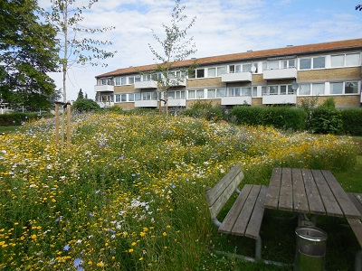 Glostrup Vestergrd foto 6