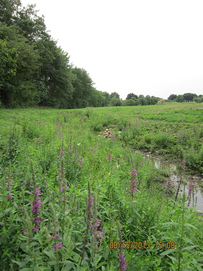 Snderborg foto 1