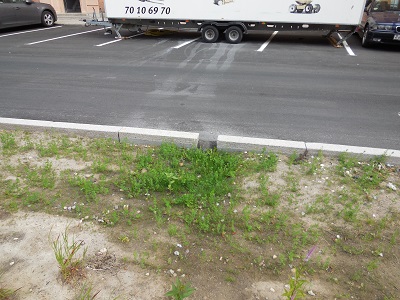 Tsinge plads foto 2
