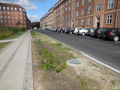 Tsinge plads foto 3