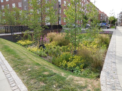 Tsinge plads foto 4