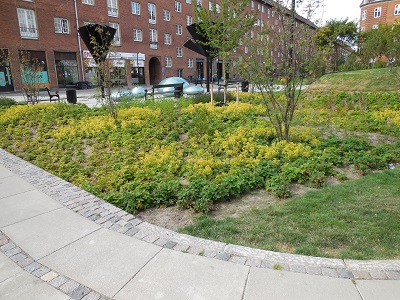 Tsinge plads foto 5